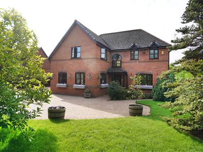 Picture 40